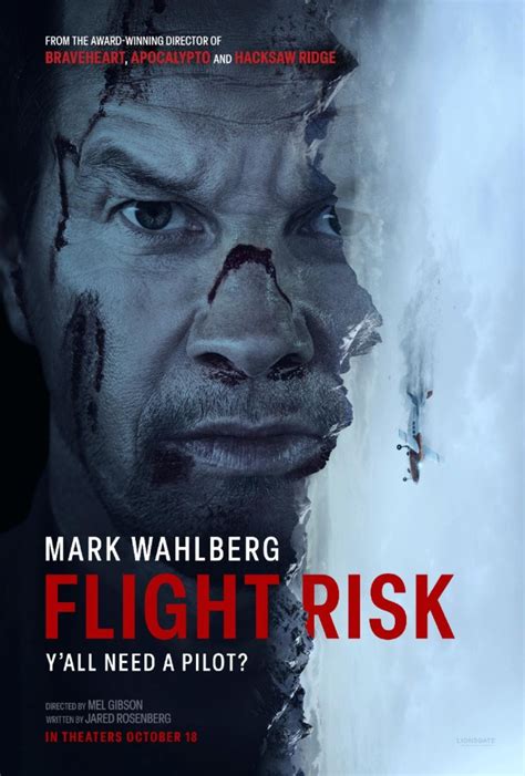 m4ufree flight/risk